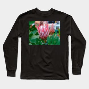 Protea Cynaroides Flower Long Sleeve T-Shirt